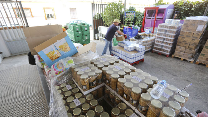 Una imagen de uno de los lotes de alimentos de una organización en Málaga.