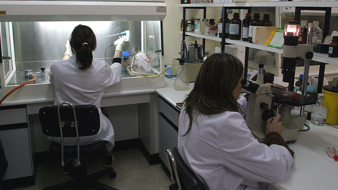 Investigadoras en laboratorio, en una imagen de archivo.