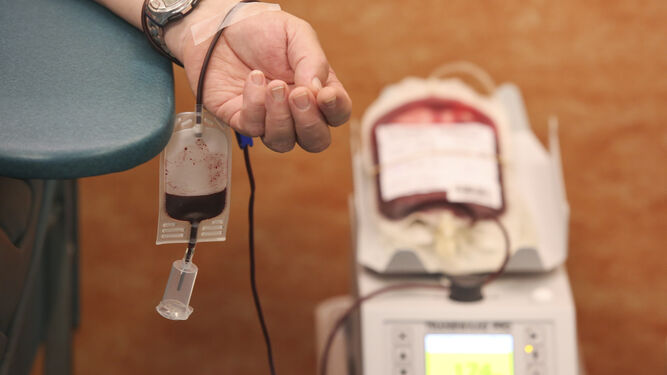 Donación de sangre.