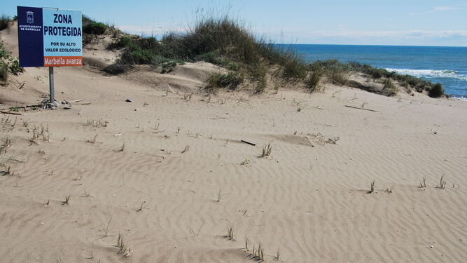 Las dunas de Artola.