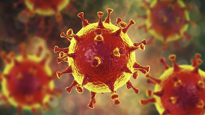 El Sars-Cov-2, virus causante del coronavirus