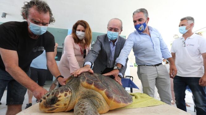 Elías Bendodo, junto a Francisco de la Torre y Carmen Crespo, este lunes, en la  liberación de una tortuga marina.