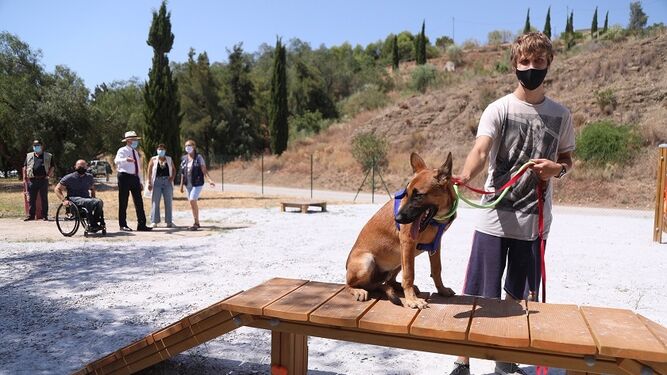 Málaga cuenta con nuevas zonas de paseo para perros de más de 13.000 metros cuadrados.