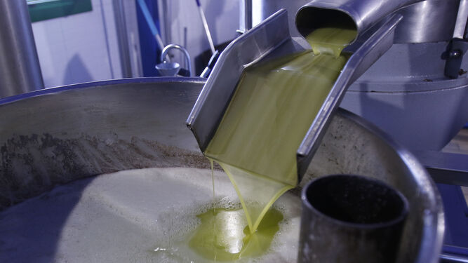 Almazara de aceite de oliva