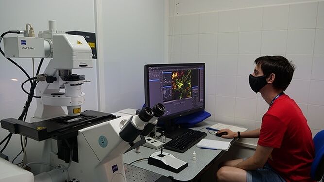 Un investigador trabaja en un laboratorio del SCAI de la UMA.