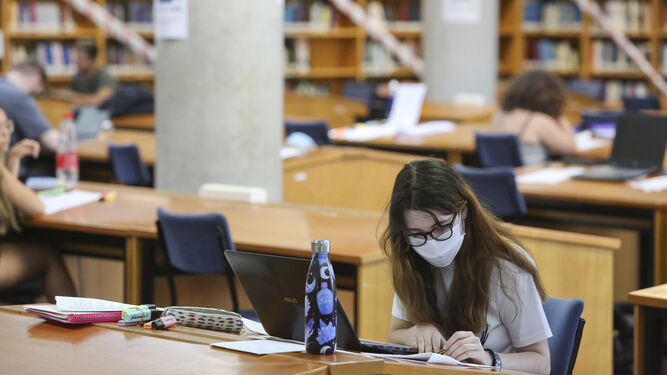 Alumnos de la UMA estudian en la Biblioteca General este verano.
