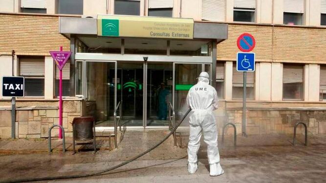 coronavirus en Andalucía: Jaén suma 4 nuevas víctimas mortales y la cifra se sitúa en 255 fallecidos desde el inicio de la pandemia