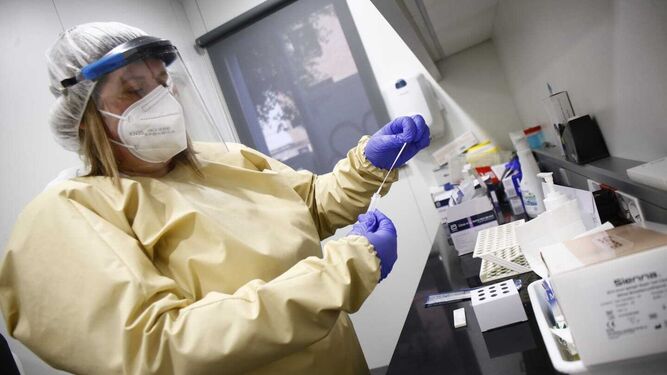 Una técnico realiza una prueba PCR en un laboratorio malagueño.