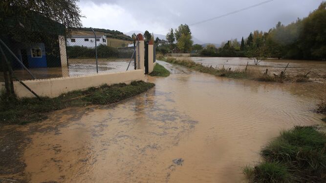 Las fotos de las inundaciones en Ronda
