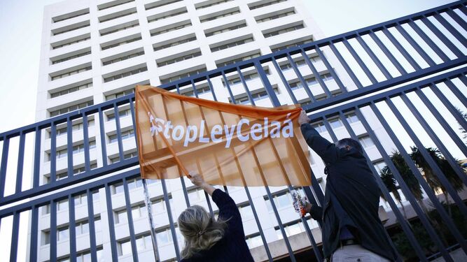 Fotos de la manifestación en Málaga contra la Ley Celaá