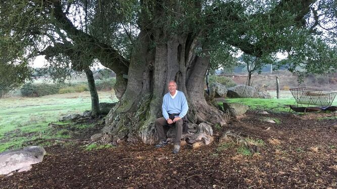 Paco Casero, junto a un olivo el pasado jueves, Día Mundial del Olivo.