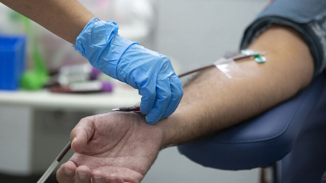Andalucía bate el récord de donaciones de sangre en 2021.