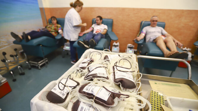 Varias personas donan sangre en el Centro de Transfusión, en una imagen de archivo.
