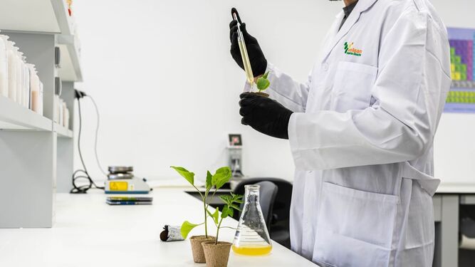 En la instalación de Tabernas se ubica un laboratorio para la investigación de microorganismos y otro fisicoquímico destinado a la formulación y desarrollo de nuevos productos.