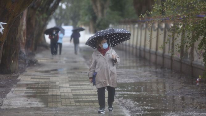 Fotos de las incidencias de la lluvia en M&aacute;laga