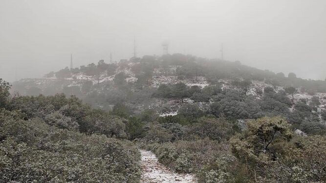 Nieve en la sierra de Mijas.