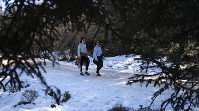 Fotos: Ascenso a la Sierra de las Nieves en busca del paisaje blanco