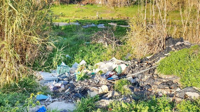 Residuos agrícolas y plásticos tirados en uno de los arroyos de Torrox.