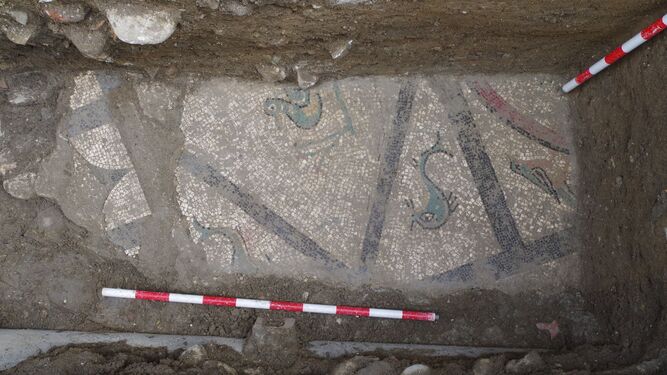 El mosaico romano hallado ahora en Cártama.