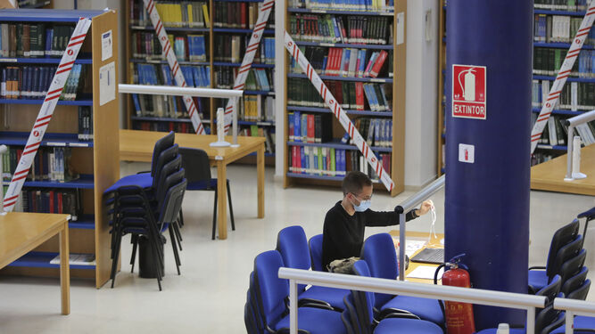 Un estudiante en la biblioteca de la Facultad de Ciencias.