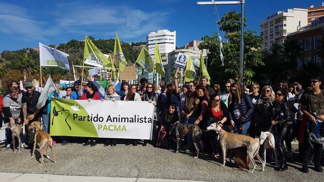 Pacma pide poner videovigilancia en laboratorios contra el maltrato animal