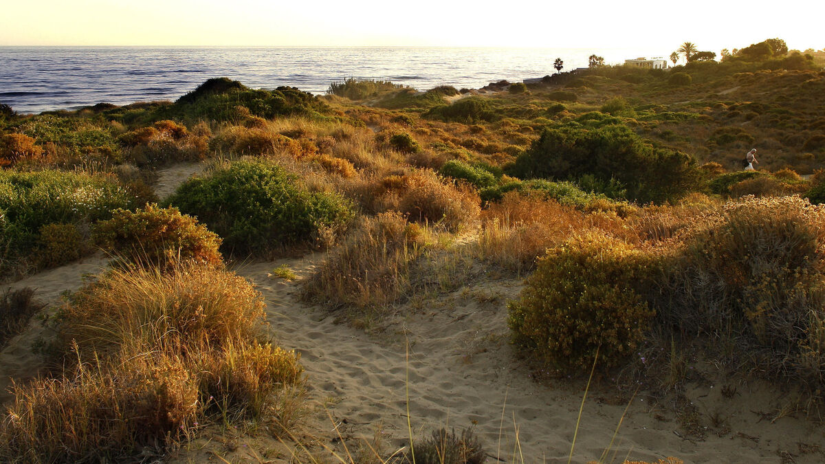 Las dunas de Cabopino están consideradas Monumento Nacional.