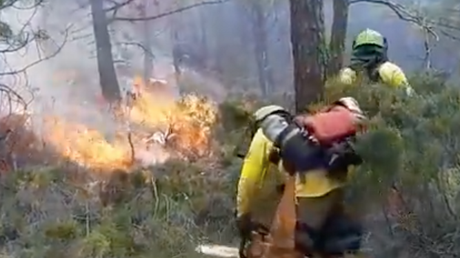 Dos agentes forestales participan en la extinción del fuego en Genalguacil.