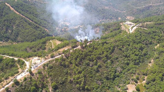 Incendio forestal declarado en Estepona.