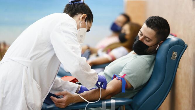 Un donante observa cómo la sanitaria le pone la vía en el brazo.