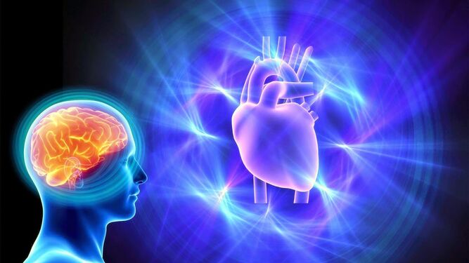 Corazonadas, las neuronas del corazón en el inconsciente
