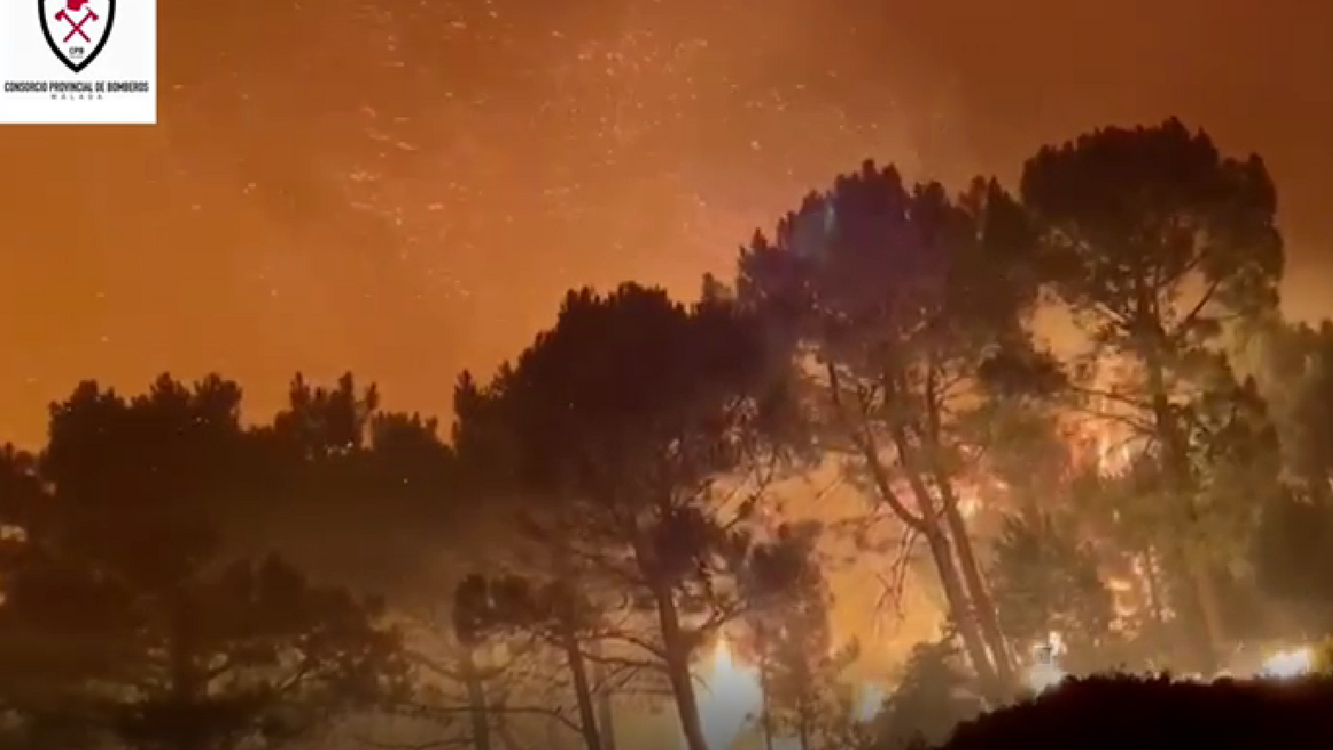 El incendio forestal de Jubrique, el primero del verano en M&aacute;laga, en fotos