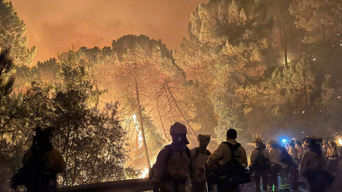 Muere un bombero forestal en el incendio de Sierra Bermeja