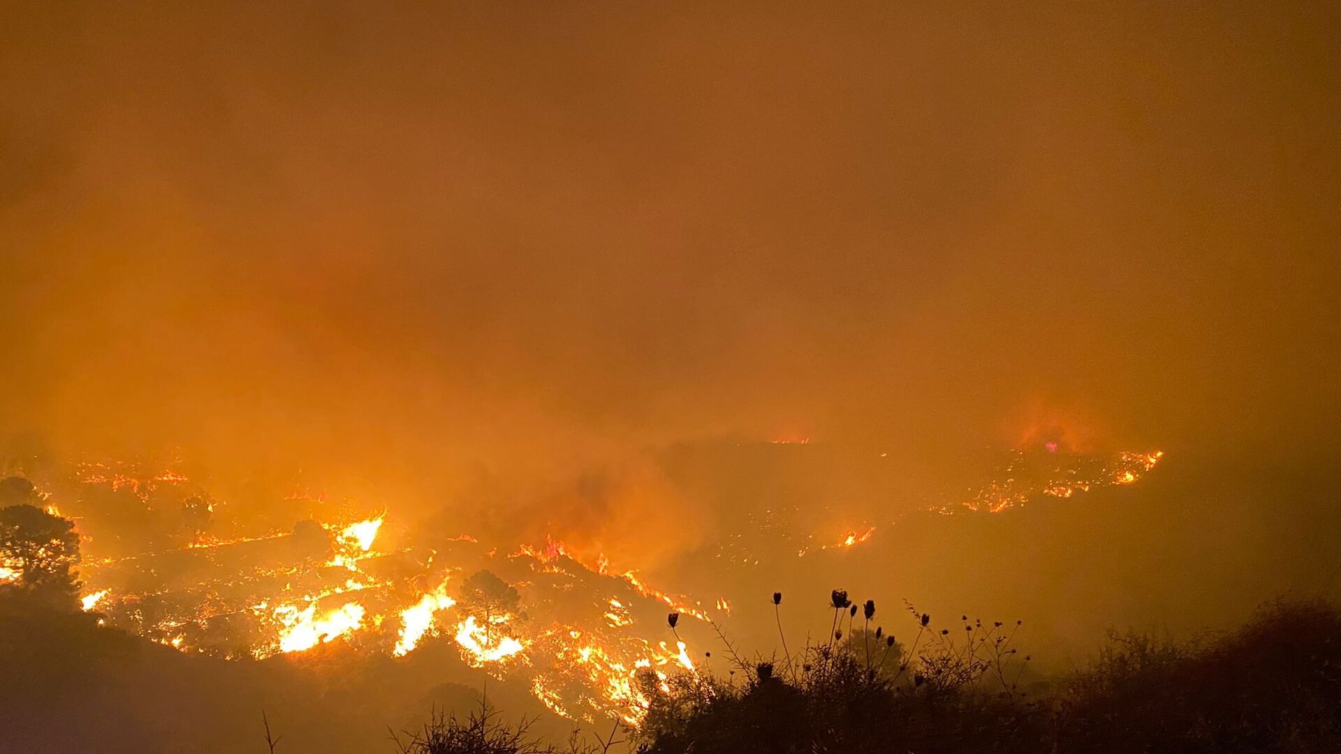 Sierra de Estepona afectada por el incendio