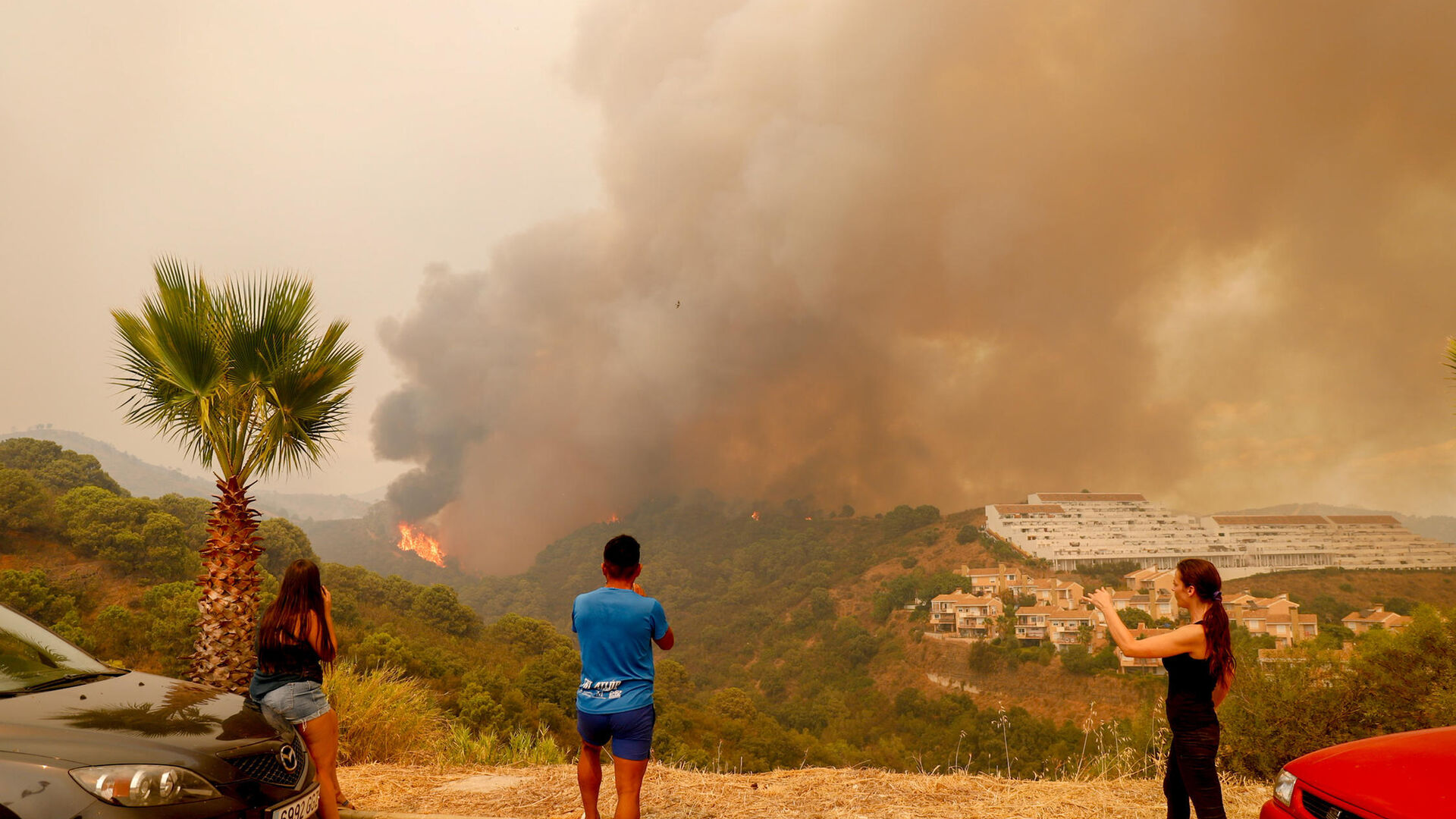 Las fotos del incendio forestal que afecta a Jubrique, Genalguacil y Estepona