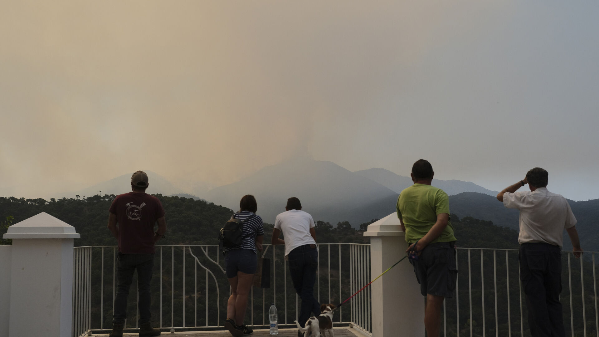 El incendio de Sierra Bermeja, en fotos.
