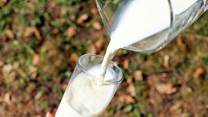 La mejor leche semidesnatada valorada por la OCU ha sido la de la marca Hacendado.