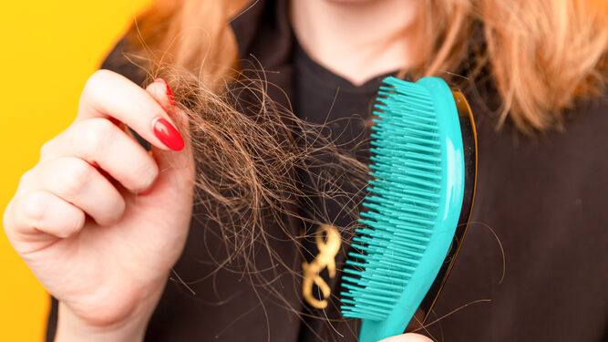 Caída del cabello: causas y cuidados para mitigarla este otoño.