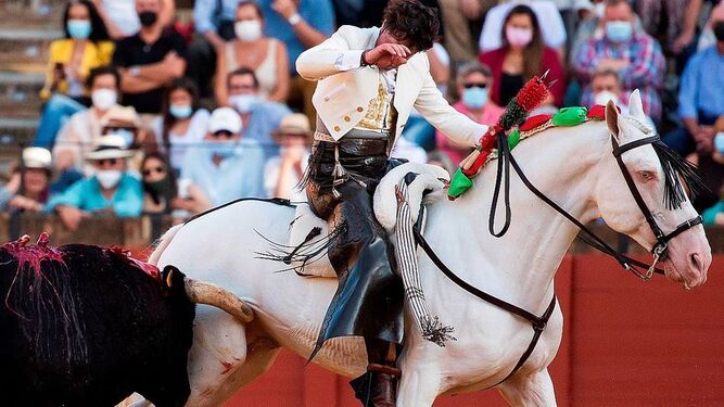 Muere el caballo "Máximo", de Andrés Romero, tras ser corneado en Sevilla