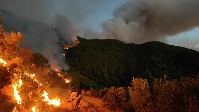 Bombero forestal lucha por apagar las llamas en el incendio de Sierra Bermeja.