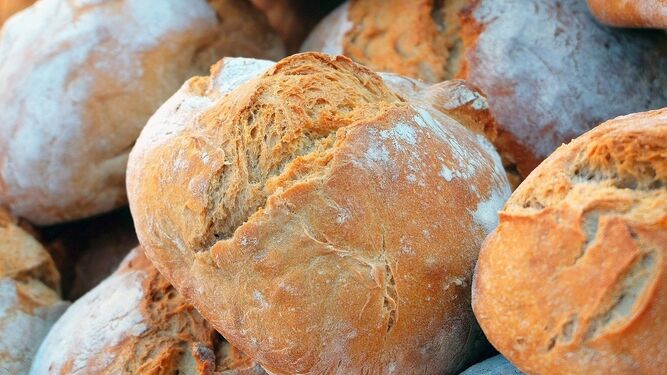 El pan contiene numerosos beneficios dependiendo de su variedad