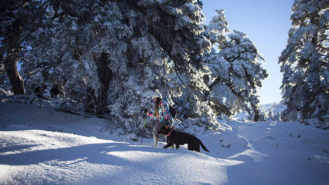 Una joven paseando con su perro por la Sierra de las Nieves.