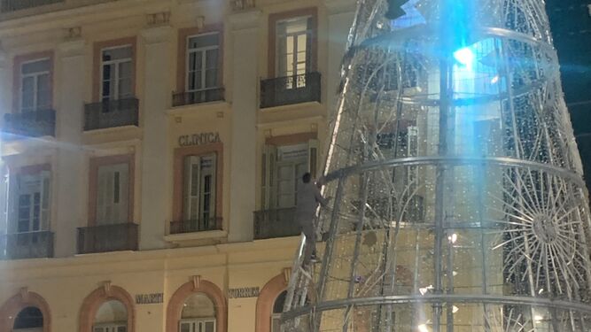 Un hombre escala el árbol de Navidad de la Plaza de la Constitución de Málaga