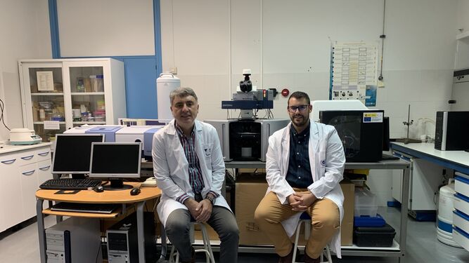 Juan Casado y Sergio Moles en el laboratorio donde trabajan en la Universidad de Málaga.