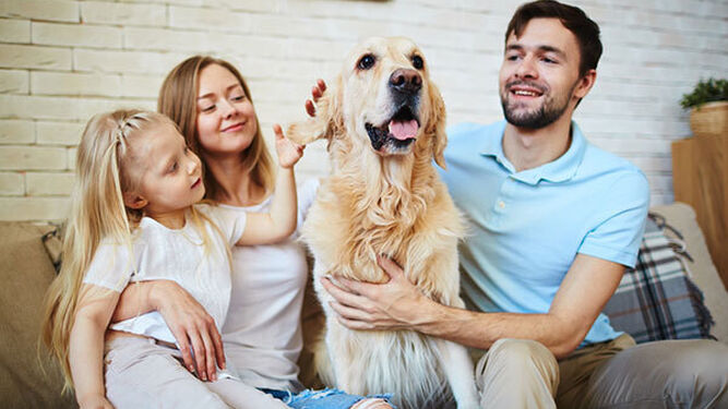 A partir del 5 de enero las mascotas serán miembros de la familia jurídicamente hablando
