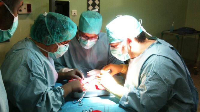 El Hospital Regional de Málaga realiza 14 trasplantes de órganos en 15 días