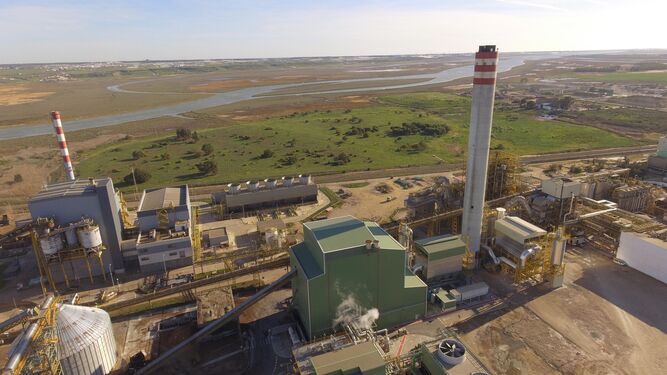 Complejo energético con biomasa de Ence en Huelva