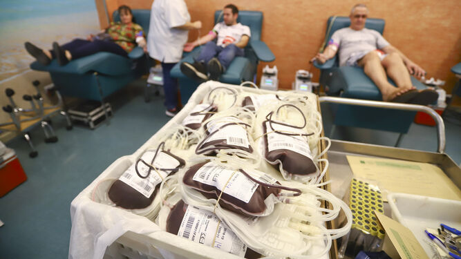 Personas donando en el Centro de Transfusión, en una imagen de archivo.
