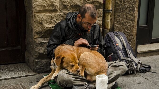 Un estudio afirma que el 74% de las personas sin hogar considera a su perro su principal apoyo
