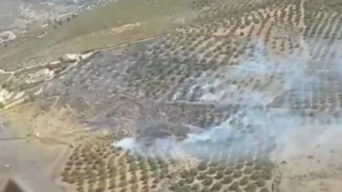 Extinguido un incendio agrícola declarado en Alcaucín