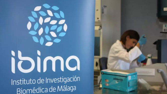 Investigadores de Ibima en Málaga